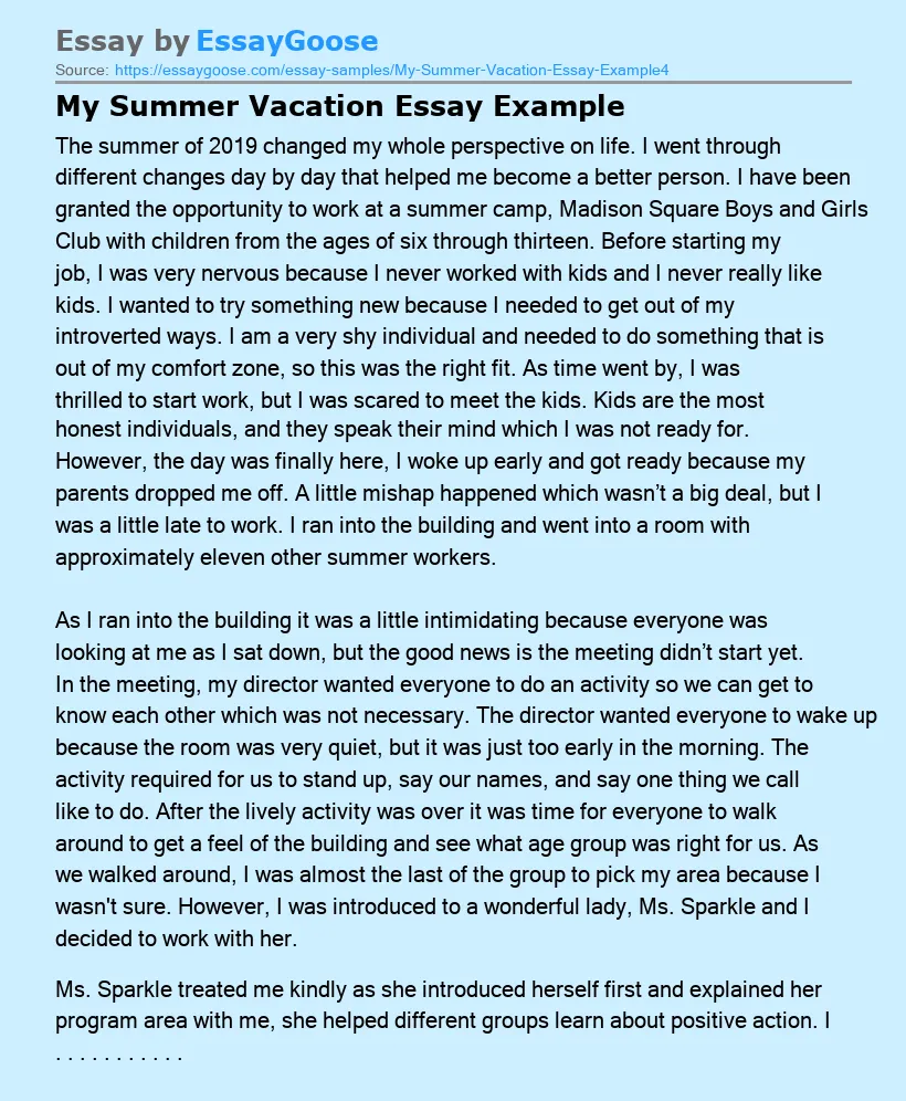 My Summer Vacation Essay Example