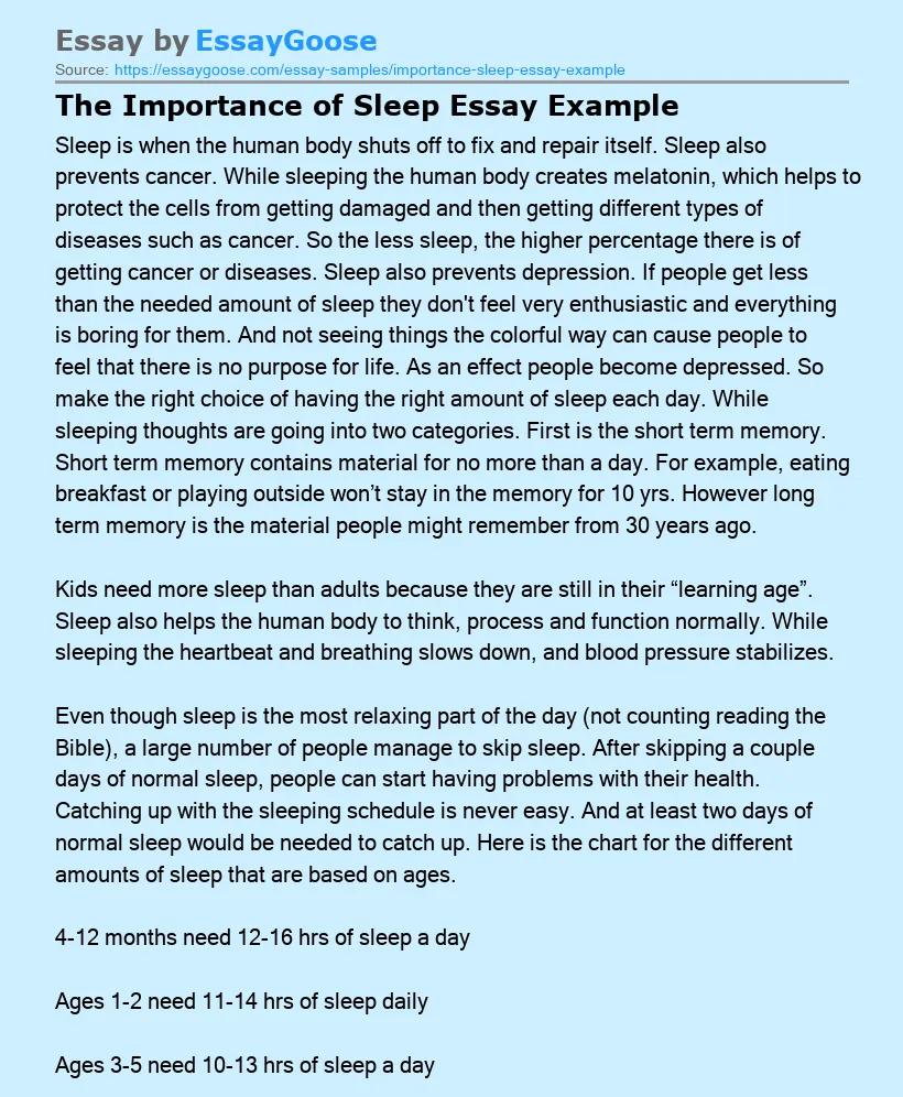 The Importance of Sleep Essay Example
