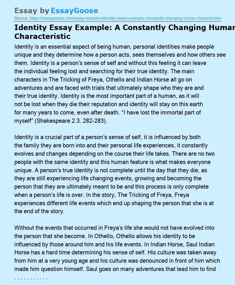 Identity Essay Example: A Constantly Changing Human Characteristic