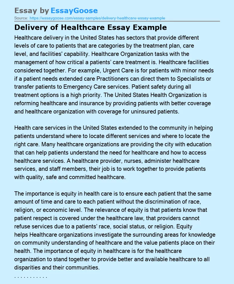 Delivery of Healthcare Essay Example