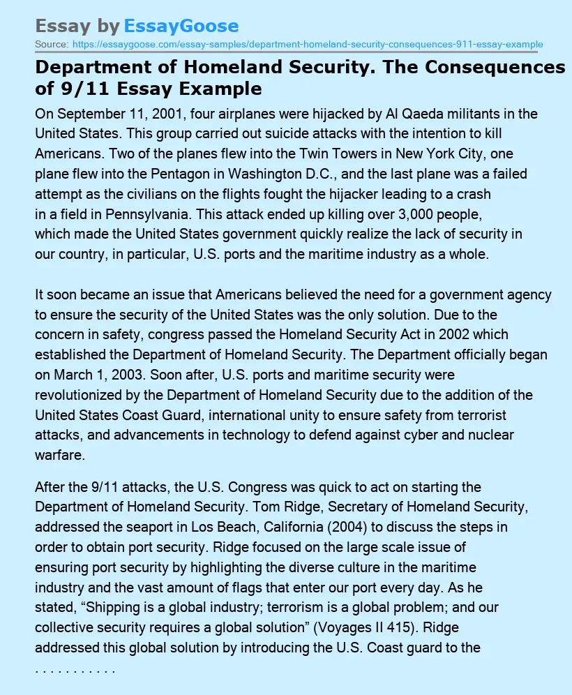 Department of Homeland Security. The Consequences of 9/11 Essay Example