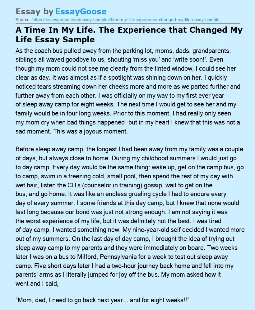 A Time In My Life. The Experience that Changed My Life Essay Sample