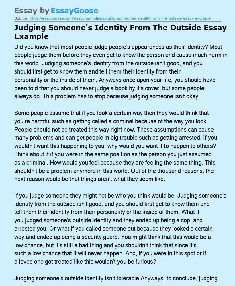 Judging Someone's Identity From The Outside Essay Example