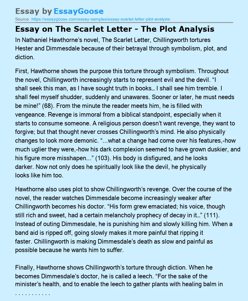 Essay on The Scarlet Letter - The Plot Analysis