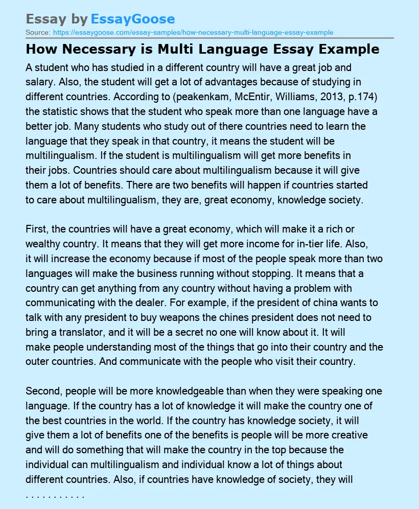 How Necessary is Multi Language Essay Example