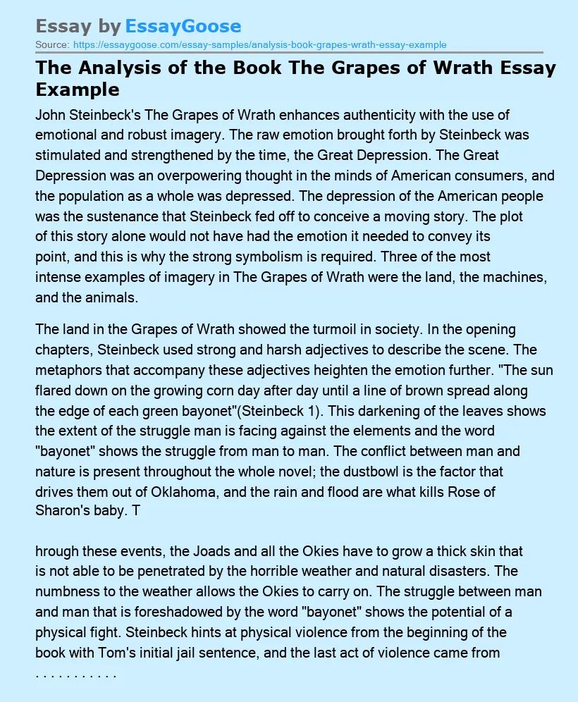 The Analysis of the Book The Grapes of Wrath Essay Example