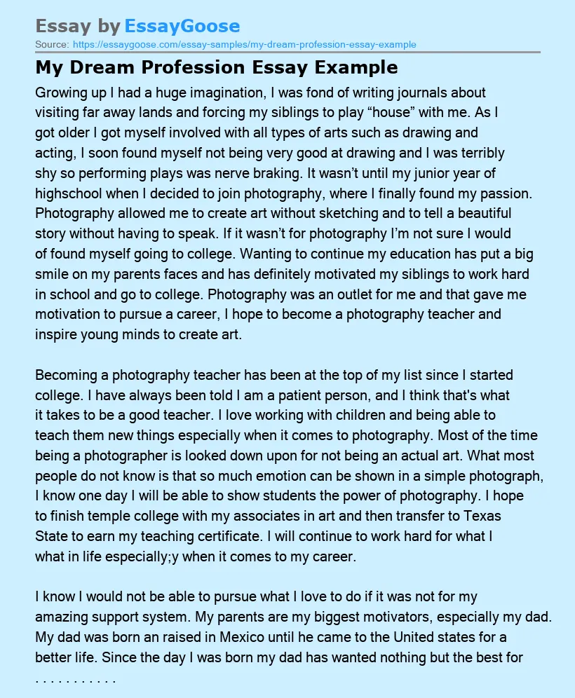 My Dream Profession Essay Example
