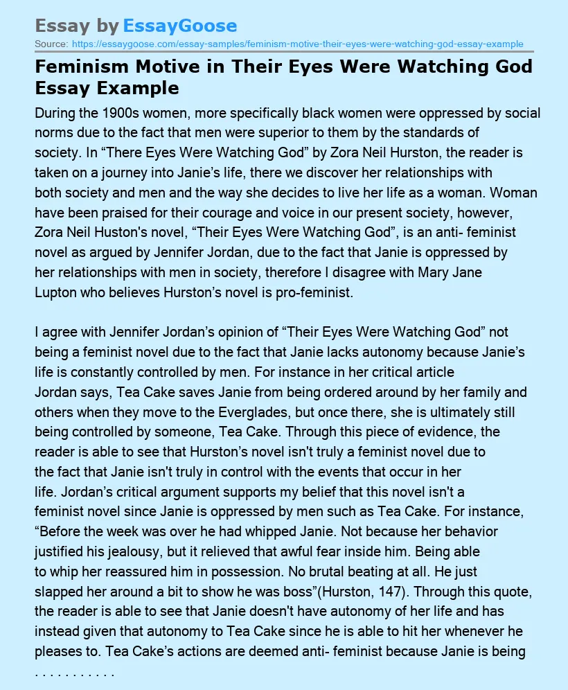 Feminism Motive in Their Eyes Were Watching God Essay Example