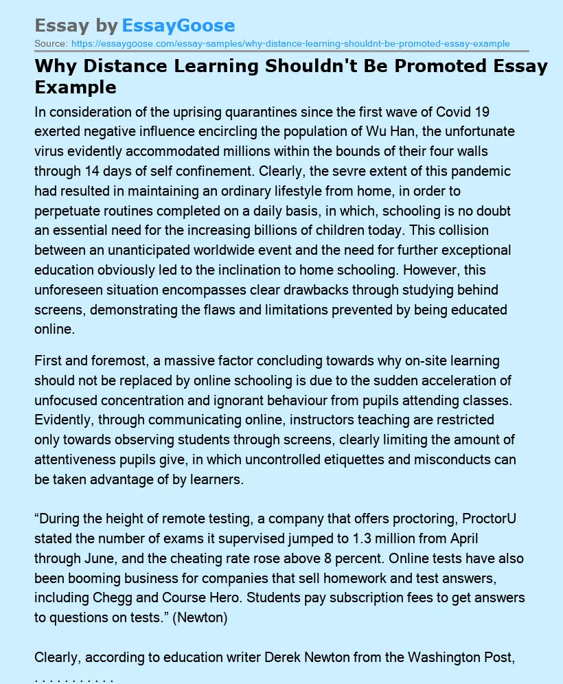 Why Distance Learning Shouldn't Be Promoted Essay Example