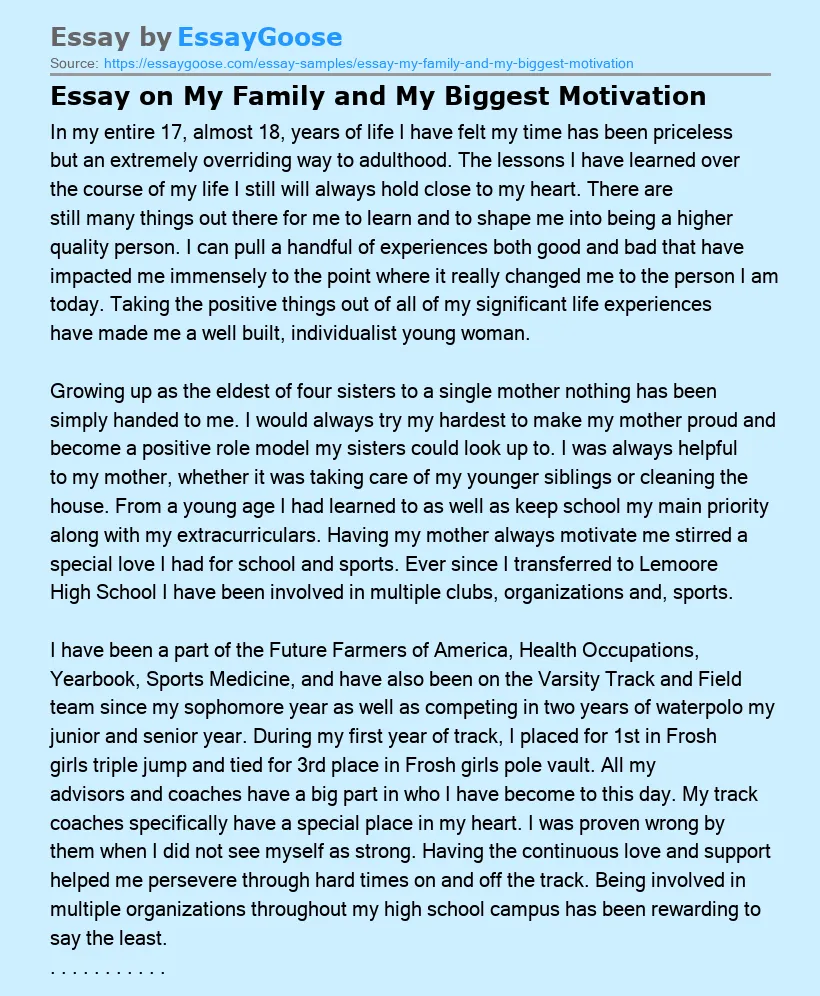 Essay on My Family and My Biggest Motivation