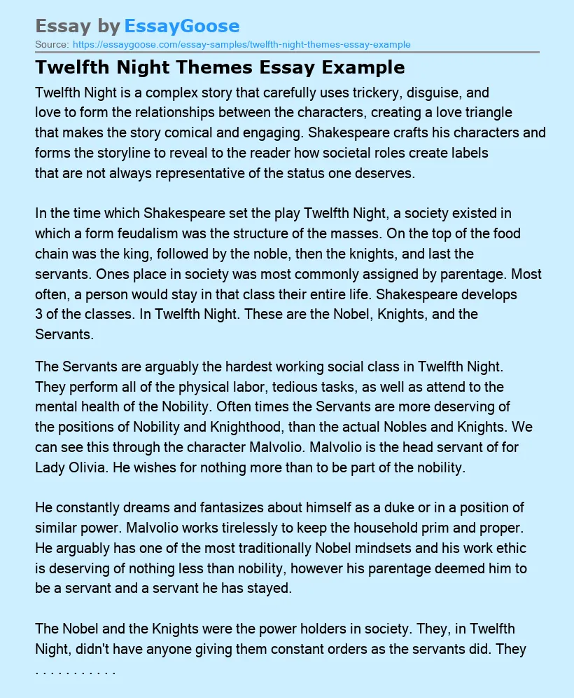 Twelfth Night Themes Essay Example
