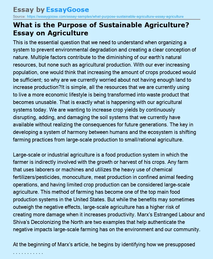 What is the Purpose of Sustainable Agriculture? Essay on Agriculture