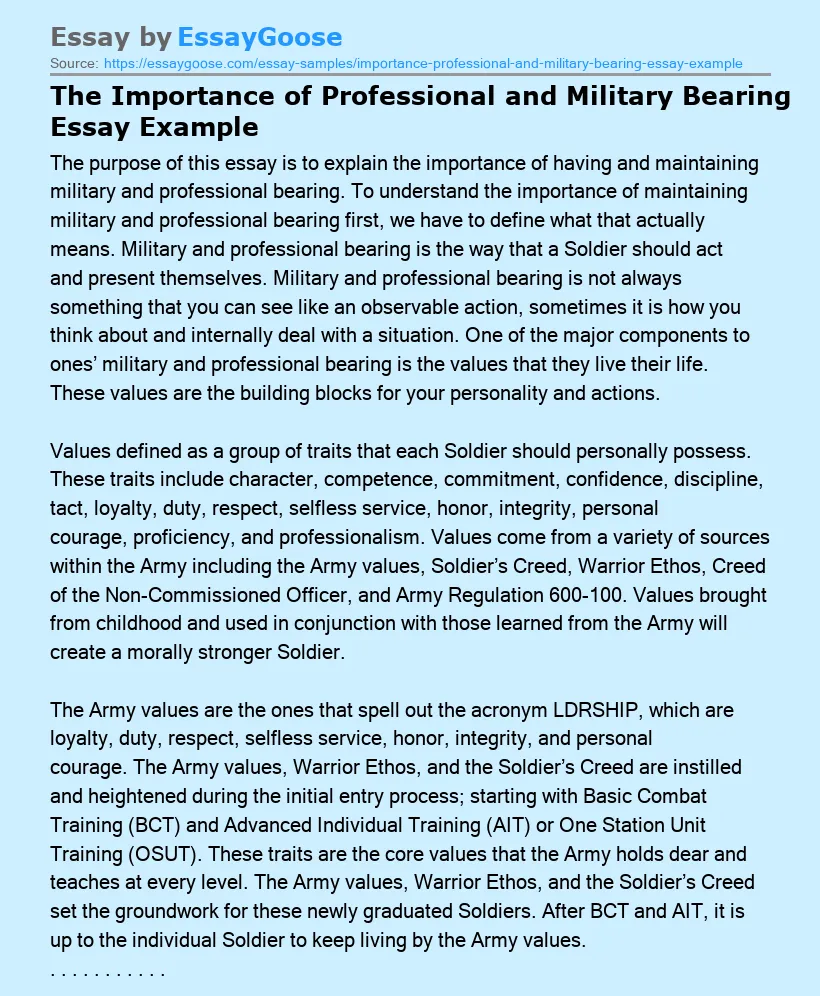 The Importance of Professional and Military Bearing Essay Example