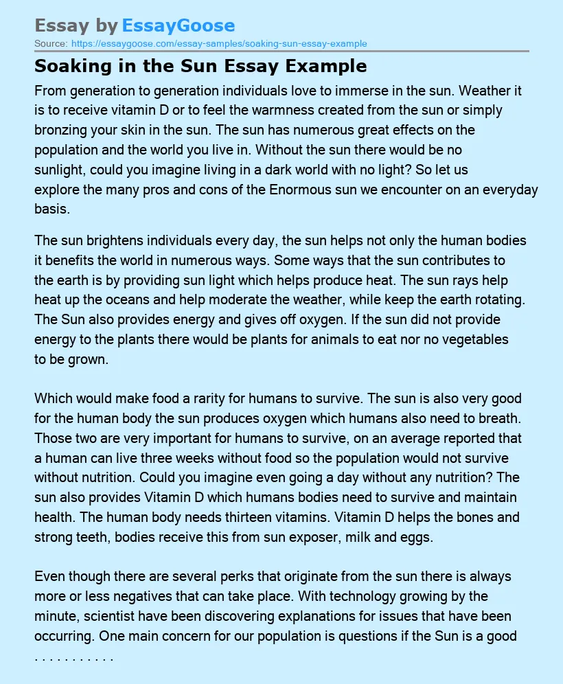 Soaking in the Sun Essay Example