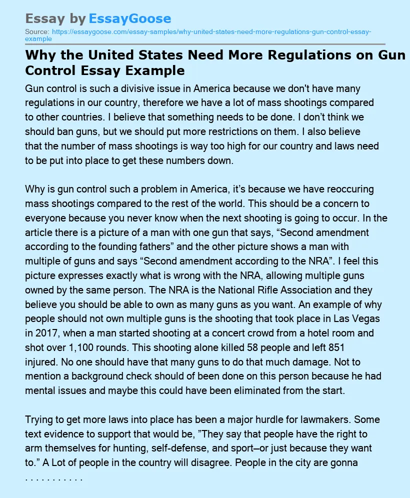 Why the United States Need More Regulations on Gun Control Essay Example