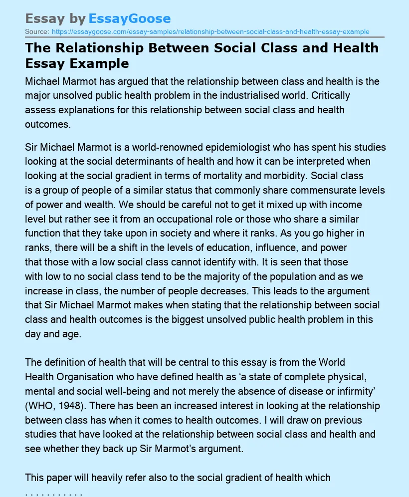 The Relationship Between Social Class and Health Essay Example