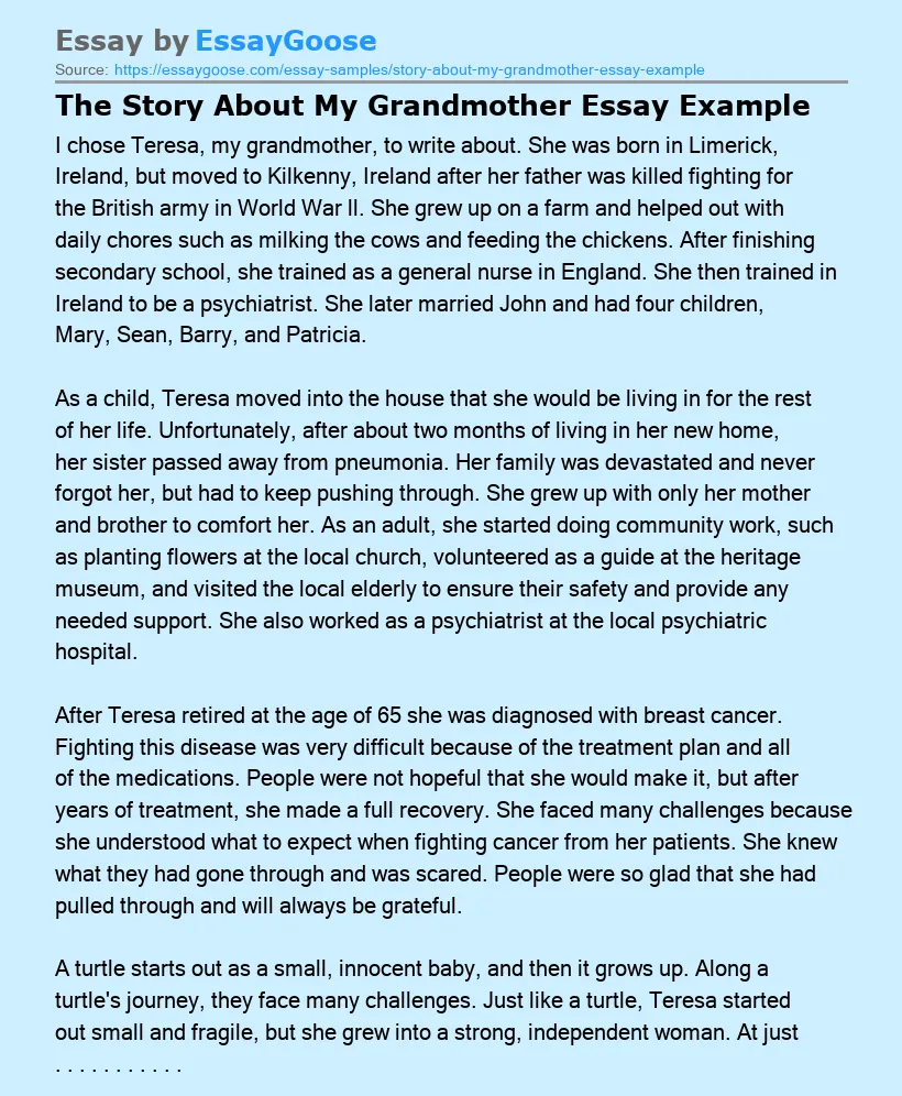 The Story About My Grandmother Essay Example