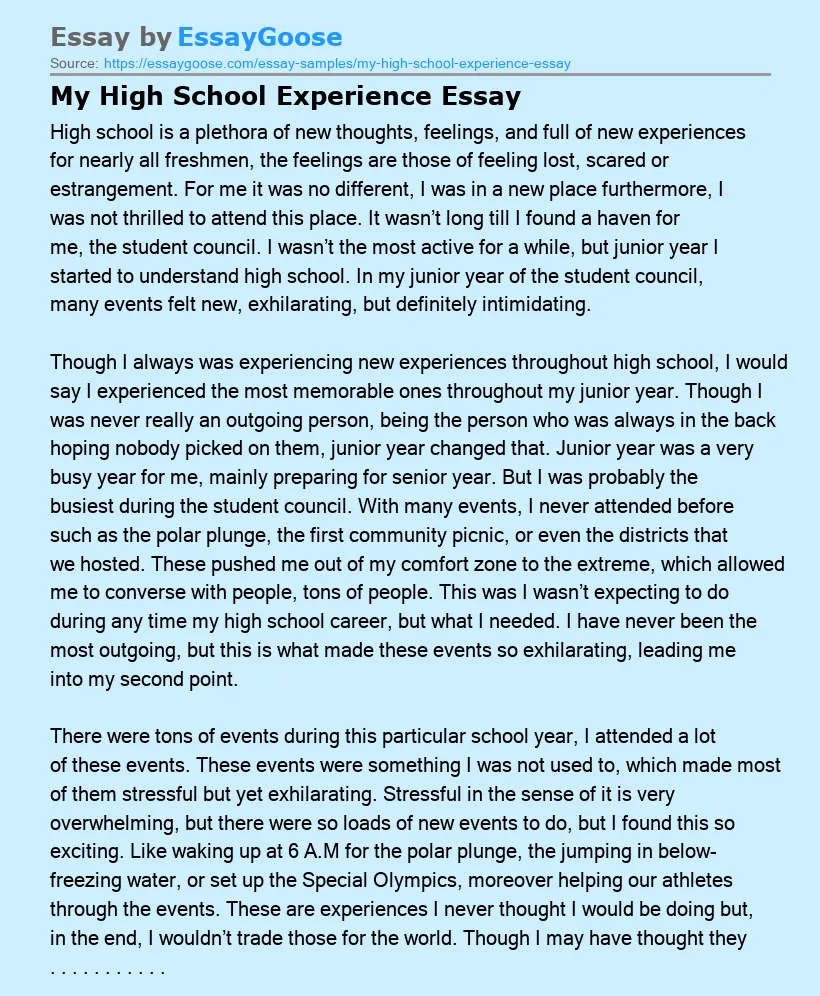 My High School Experience Essay