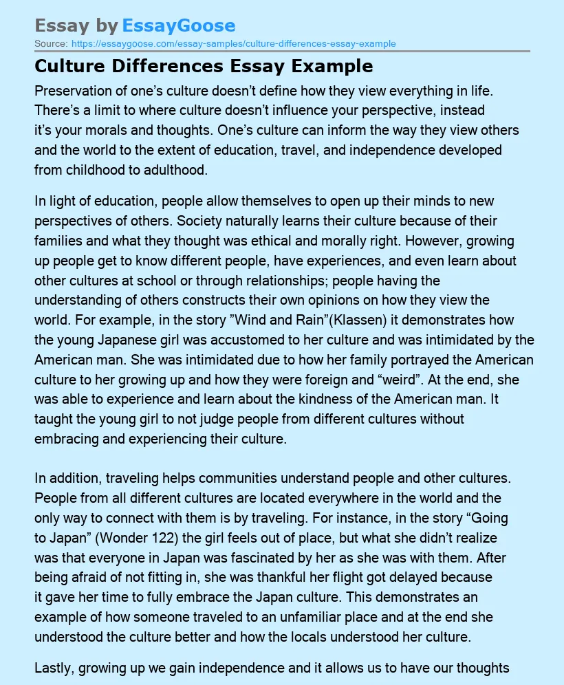Culture Differences Essay Example