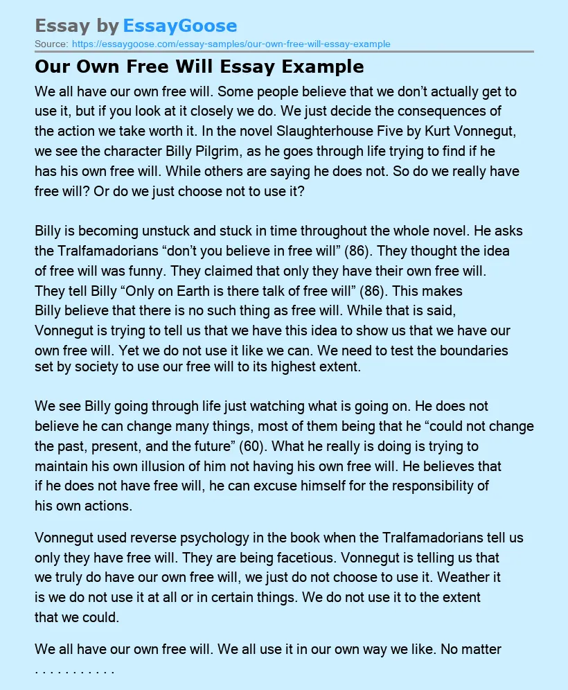 Our Own Free Will Essay Example