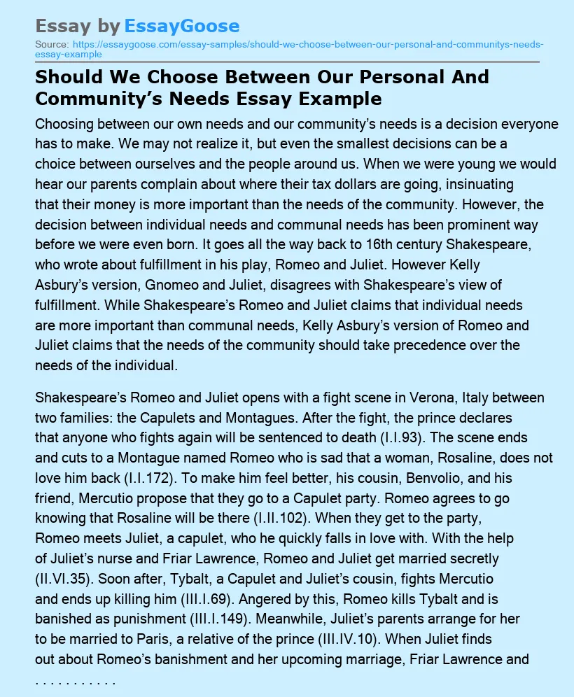 Should We Choose Between Our Personal And Community’s Needs Essay Example