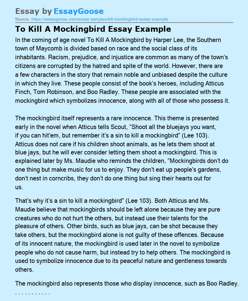 To Kill A Mockingbird Essay Example