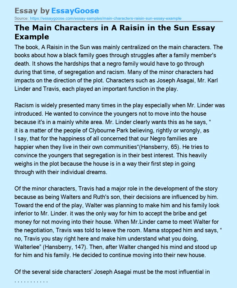 The Main Characters in A Raisin in the Sun Essay Example