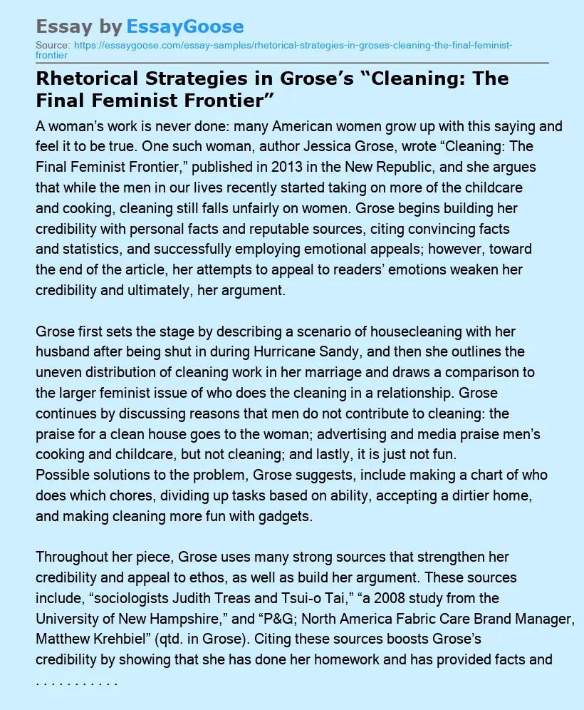 Rhetorical Strategies in Grose’s “Cleaning: The Final Feminist Frontier”