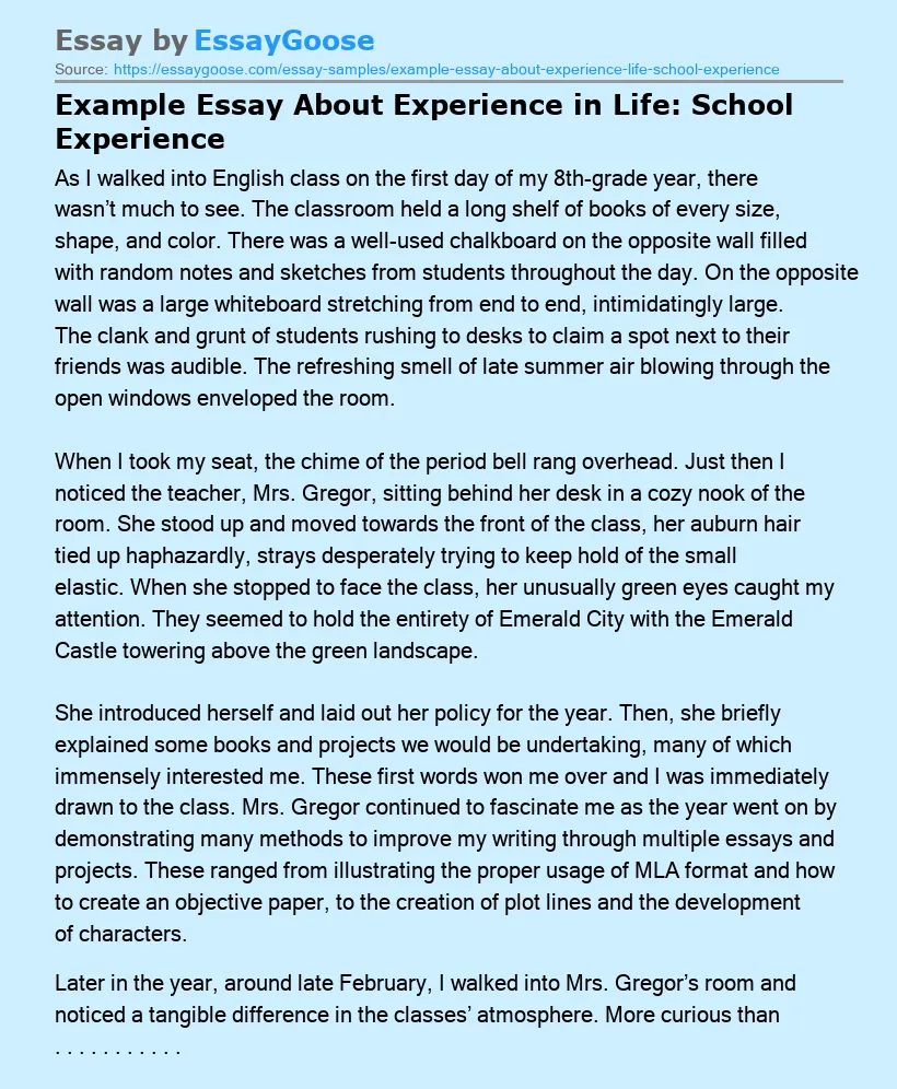 Example Essay About Experience in Life: School Experience