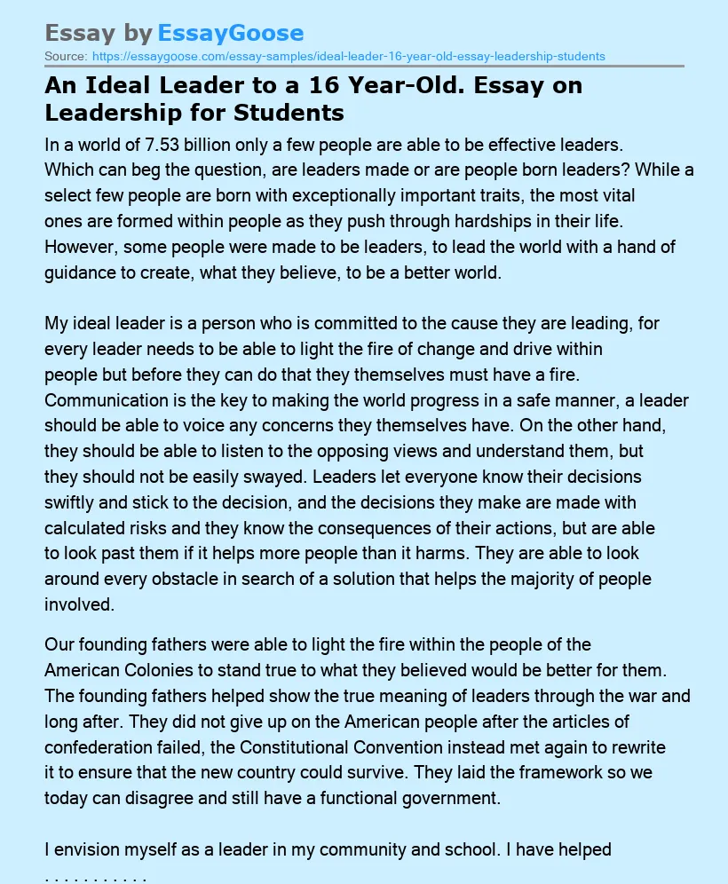 An Ideal Leader to a 16 Year-Old. Essay on Leadership for Students