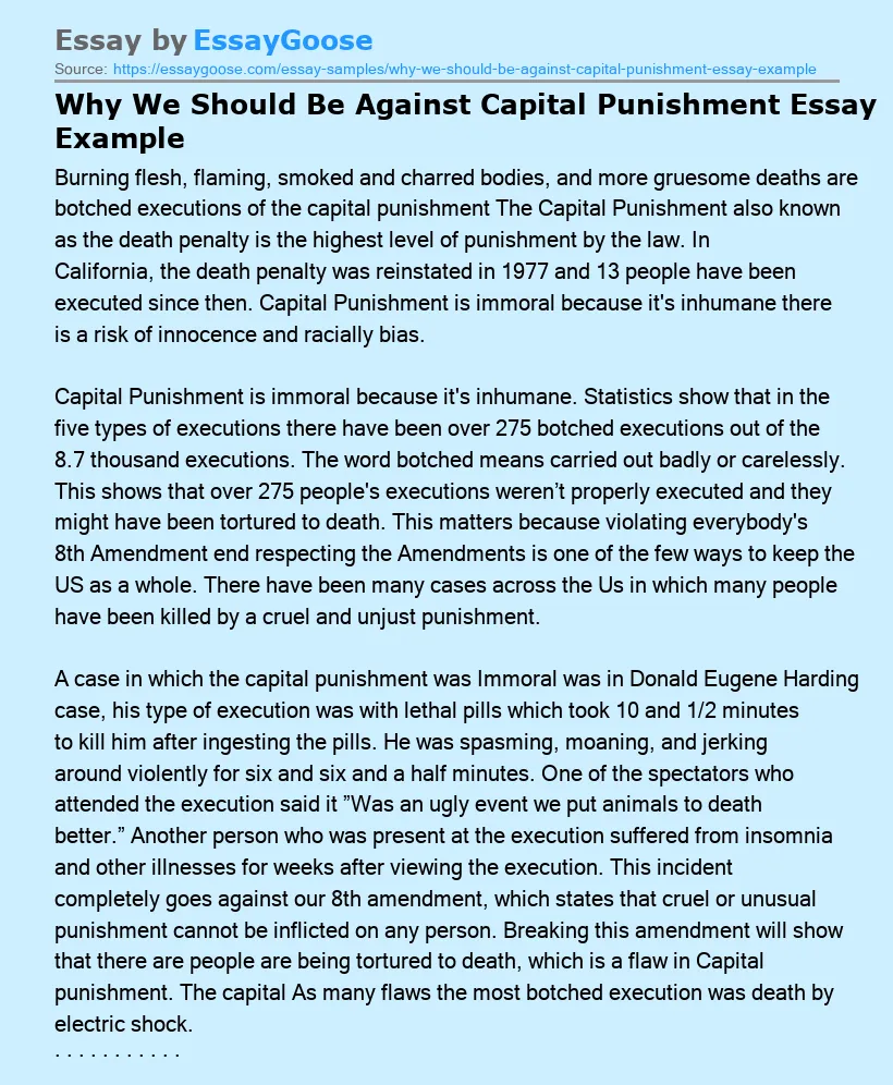 Why We Should Be Against Capital Punishment Essay Example