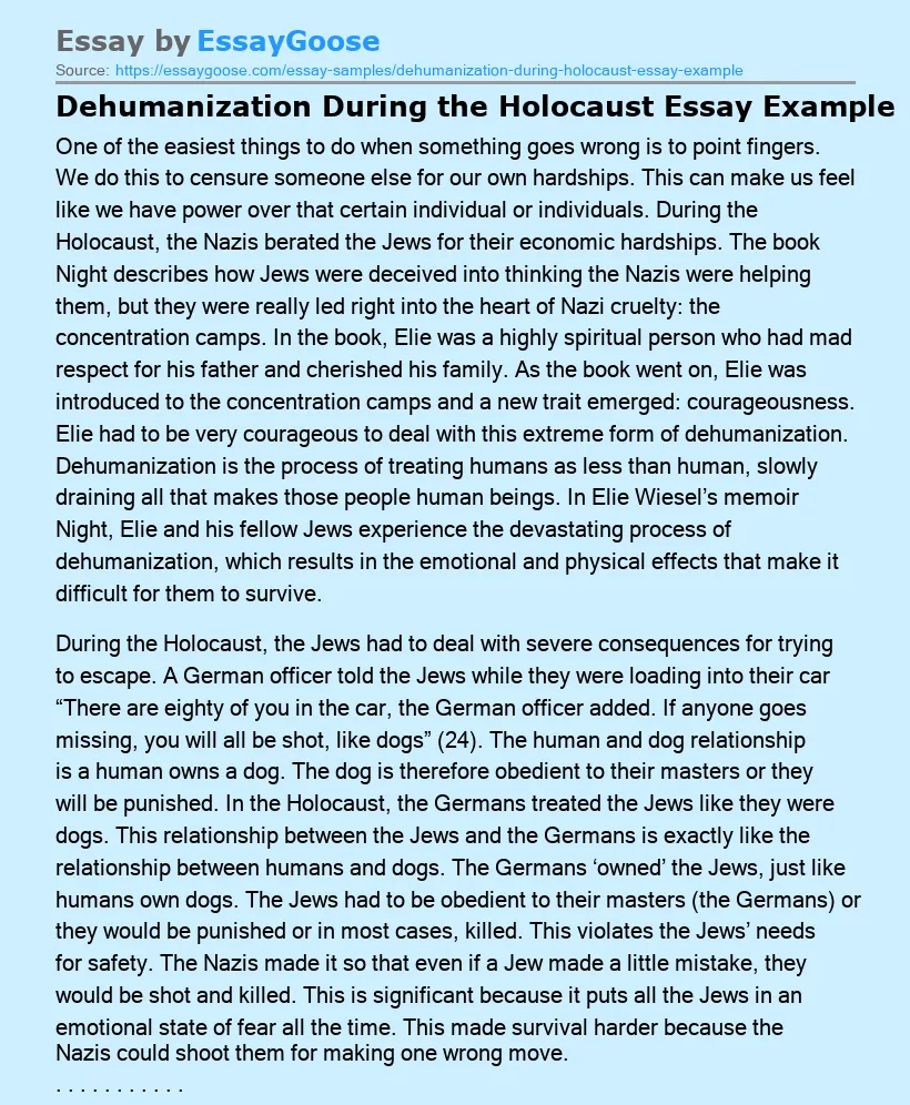 Dehumanization During the Holocaust Essay Example