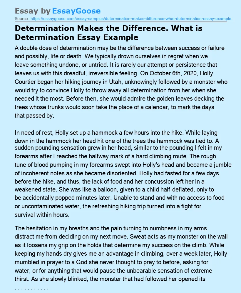 Determination Makes the Difference. What is Determination Essay Example