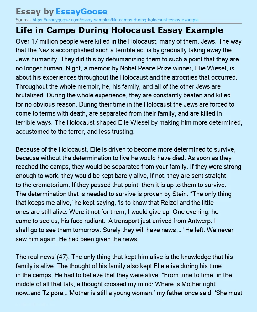 Life in Camps During Holocaust Essay Example