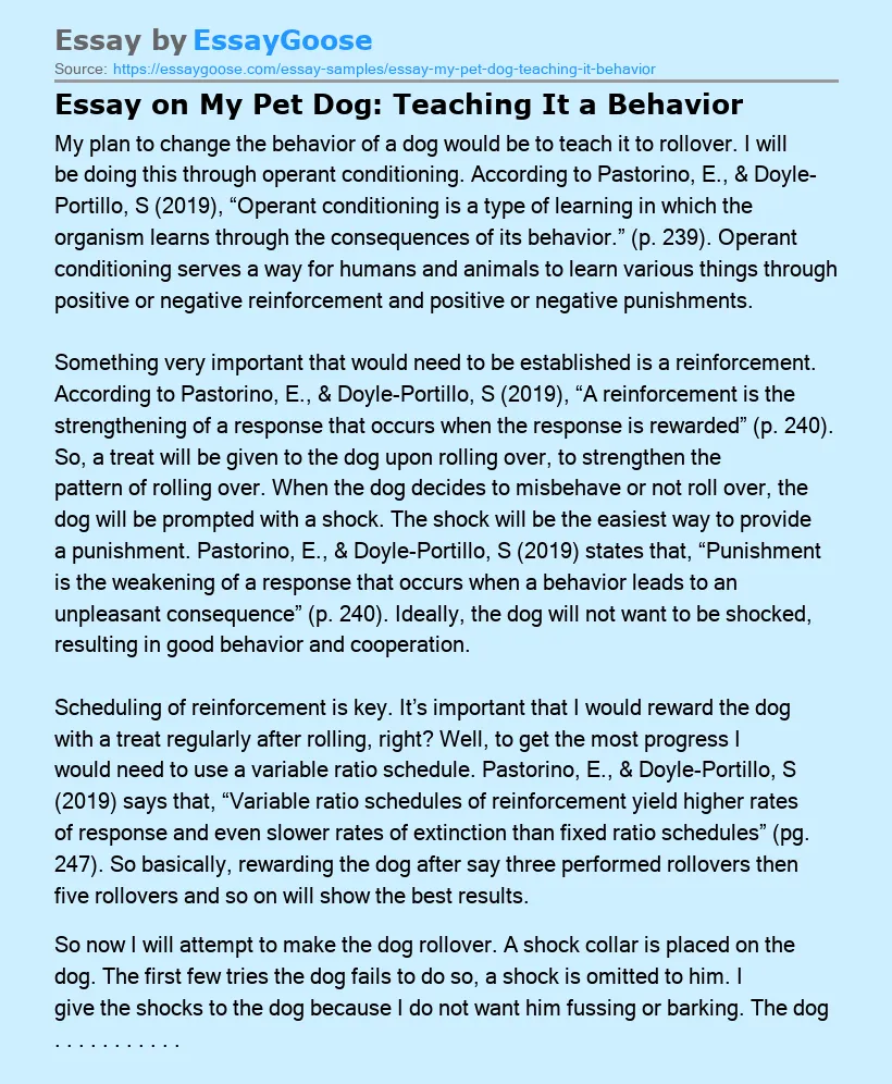 Essay on My Pet Dog: Teaching It a Behavior