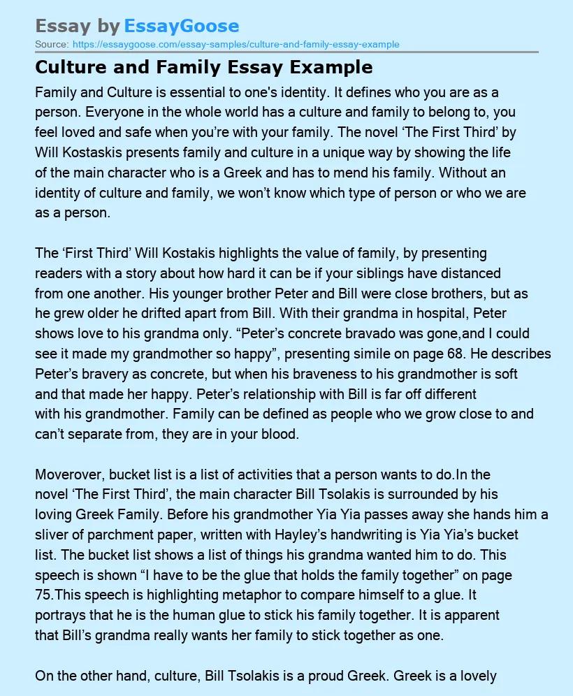 Culture and Family Essay Example