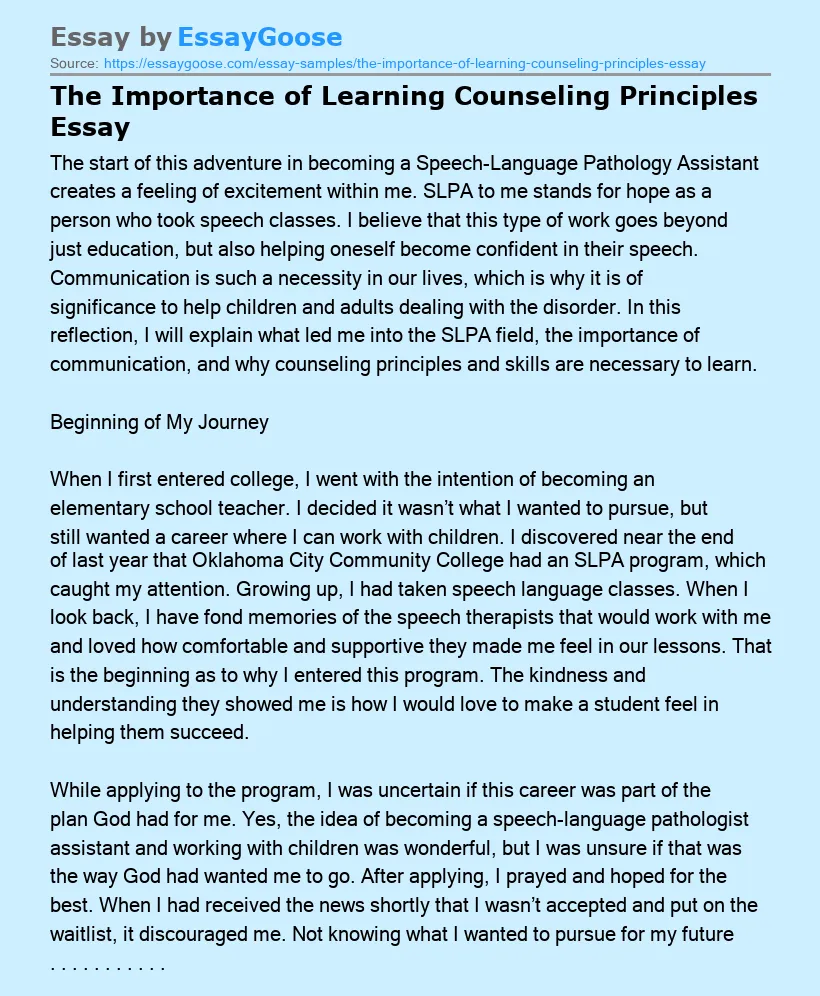 The Importance of Learning Counseling Principles Essay