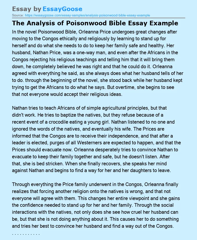 The Analysis of Poisonwood Bible Essay Example